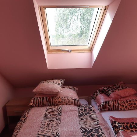 Balogh Vendeghaz Hotel Сегед Екстериор снимка