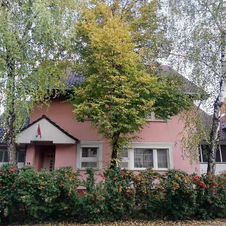 Balogh Vendeghaz Hotel Сегед Екстериор снимка