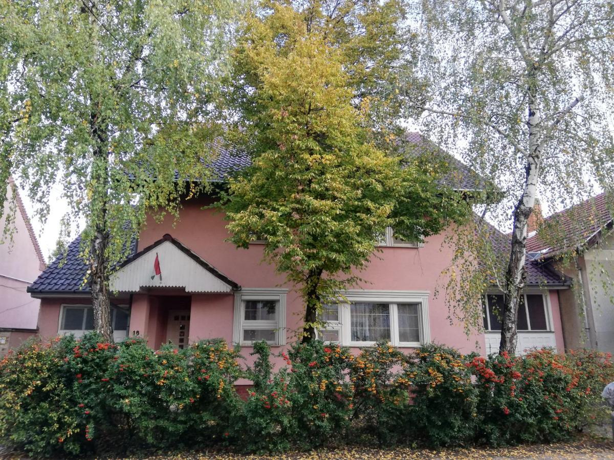Balogh Vendeghaz Hotel Сегед Екстериор снимка